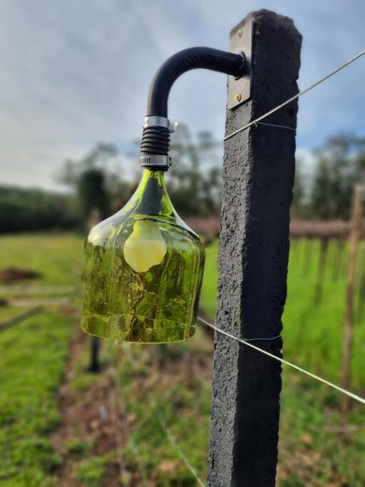 Tinywine House Vale Dos Vinhedos - Chardonnay Villa Garibaldi